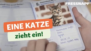 Katzeneingewöhnung Eine Katze zieht ein  Planung Gesundheit und Ausrüstung [upl. by Amoakuh]