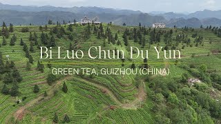 Bi Luo Chun Du Yun  A Bird’s Eye View [upl. by Tallula256]