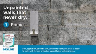 NEW DRYLOK® Wet Wall Bonding Primer [upl. by Aurea]