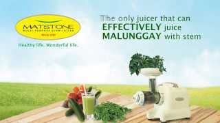 Matstone Slow Juicer 8in1 [upl. by Gurtner279]