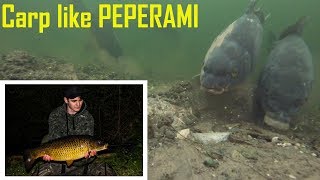 Carp feeding on PEPERAMI [upl. by Tavy]