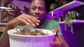 10 AMAZING Benefits of SEA Moss [upl. by Sirron]