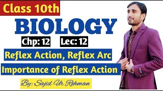 Reflex Action  Reflex arc  Importance of Reflex Action  10th Bio Chp 12 Lec 12 [upl. by Mandi]