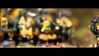 Warhammer Orc Armies on Parade 2014 [upl. by Ahseryt]