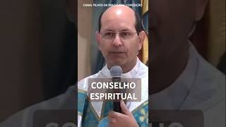 CONSELHO ESPIRITUAL  PADRE PAULO RICARDO jesus padrepauloricardo reflexão catolico fe amor [upl. by Eidnak]