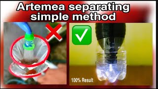 HOW TO DIY brine shrimp hatchery  Simple amp Easy yet Very Efficient Artemia Cysts [upl. by Aeret365]