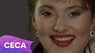 Ceca  Sve u svoje vreme  Official Video 1990 [upl. by Prudy950]