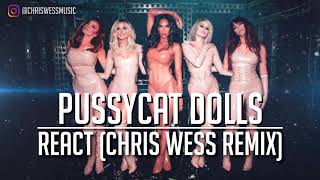 Pussycat Dolls  React Chris Wess Remix [upl. by Stetson714]