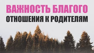 ХАДИС📌ВАЖНОСТЬ БЛАГОГО ОТНОШЕНИЯ К РОДИТЕЛЯМ📌 Хадисы и аяты Корана про родителей📌 Родители в Исламе [upl. by Harcourt678]