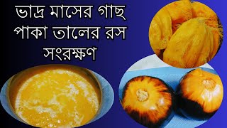 তালের রস সংরক্ষণ করার পদ্ধতি । How to preserve palm juice [upl. by Eeuqram]