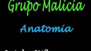 Grupo Malicia  Anatomia [upl. by Zednanreh]