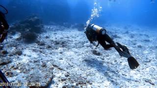 Diving in Praslin Island Seychelles [upl. by Voorhis]