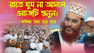 যে ওয়াজ শুনে কেঁদেছে লাখো মানুষ আল্লামা দেলোয়ার হোসাইন সাঈদী  হযরত মোহাম্মদ সা এর জীবনী  Waz [upl. by Nickelsen171]