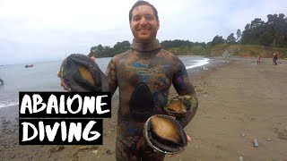 Abalone Diving  Mendocino California [upl. by Boony]