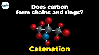 Catenation  Carbon and its Compound  Grade 10  Dont Memorise Hindi हिंदी में [upl. by Tomasina174]