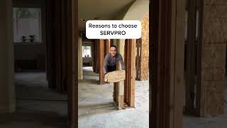 Why not choose SERVPRO is the real question servpro noreason restoration waterdamage [upl. by Campagna]