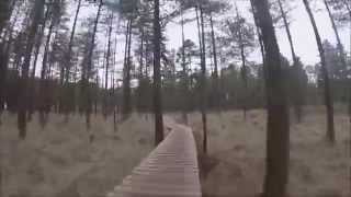 Moors Valley Blue Trail Full Lap  16m32 [upl. by Lathrope]