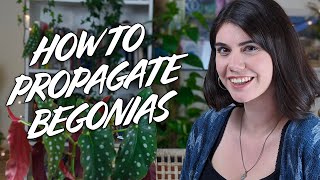 How To Prune Propagate And Repot Your Cane Begonias  Lucy Bloom [upl. by Crystal]