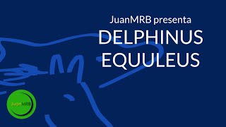 Constelación de Delphinus y Equuleus  JuanMRB [upl. by Regni728]