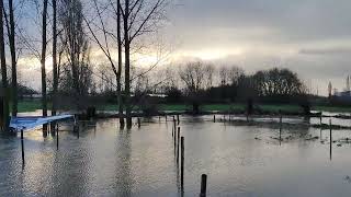 Parcours Hexia Cyclocross Gullegem onder water gelopen [upl. by Selij144]