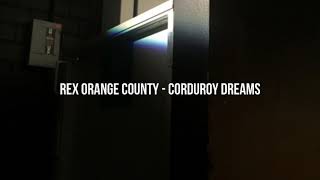 Rex Orange County  Amazing Karaoke [upl. by Mecke]