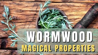 Wormwood loose herb  magical properties of wormwood [upl. by Gaye7]