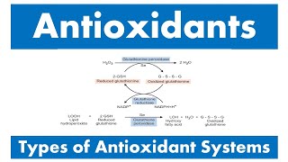 Antioxidants and Types of antioxidant systems [upl. by Enajaras]