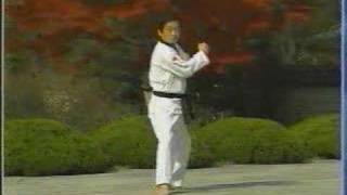 14 Taekwondo Poomsae Jitae WTF [upl. by Agathy247]