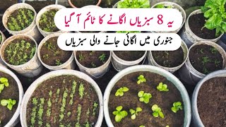 January me ugne wali 8 sabziyan  Now the time sow this 8 vegetables [upl. by Ahsiuqat]