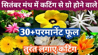 September Month मे कटिंग से ग्रो होने वाले 30परमानेंट फूल Parmanent Flowering Plant Grow By Cutting [upl. by Aelgna535]