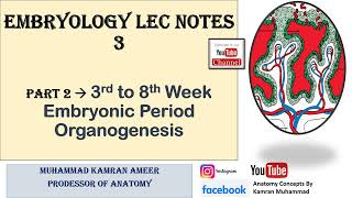 Embryology Lec Notes 3  3rd WEEK TRILAMINAR GERM DISC  3rd to 8th Week  Embryonic Period [upl. by Anirbes445]