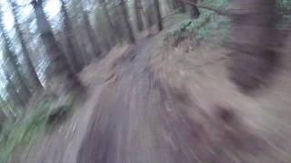 YTP Trail Ballyed Rostrevor MTB Downhill [upl. by Bogusz]