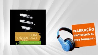 Audiolivro  Dom Casmurro [upl. by Dalli794]