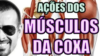 Vídeo Aula 122  Anatomia Humana  Sistema Muscular  Músculos da Coxa Quadríceps e Isquiotibiais [upl. by Omero]