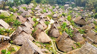 【4K】The last primitive tribe in China Wengding Village the remnants of Wa dance and culture [upl. by Hokanson]