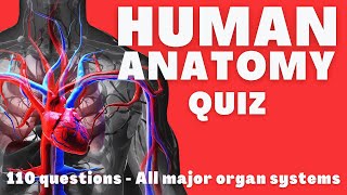 Complete Human Anatomy quiz  Can You Answer these Questions about the Human Body [upl. by Assirram374]