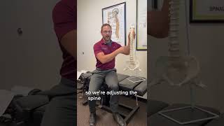 What are the Chiropractic Adjustments Doing [upl. by Zurek]