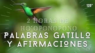 AFIRMACIONES y palabras gatillo 2 HORAS de HO´OPONOPONO 🌺 MEDITACIÓN [upl. by Nywrad]