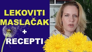 Lekovitost MASLAČKA  recepti ulje melem čaj  dr Bojana Mandić [upl. by Purington316]