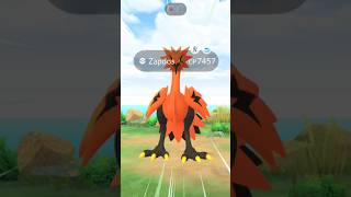 Can I catch Galarian Zapdos 😳 Pokemon go [upl. by Alfreda]