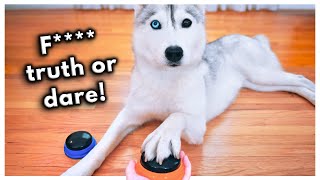 Truth or Dare Goes WRONG Dog Plays Truth or Dare Using Talking Buttons BLOOPERS [upl. by Chicky531]