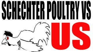 Schechter Poultry vs US 1935 US History Review [upl. by Tavish]