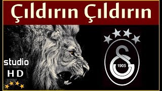 Çıldırın Çıldırın Stüdyo  Galatasaray Marşları [upl. by Cohette]