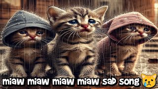 miaw miaw miaw sad cat song lyrics video [upl. by Vilma]