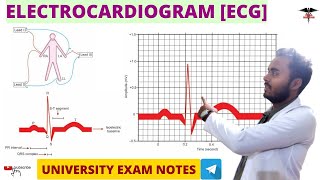 Electrocardiogram  ECG  ECG Wave  CVS Physiology [upl. by Ahsilek]