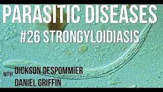 Parasitic Diseases Lectures 26 Strongyloidiasis [upl. by Johnette597]