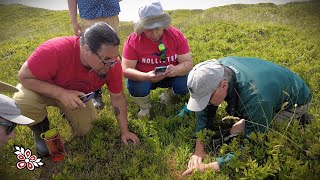 How the Nova Scotia Earth Keepers Bring Indigenous Knowledge to Protect an Endemic Species [upl. by Hareemas]