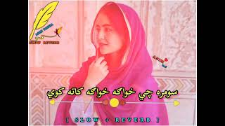 Somra Che Khwaga Khwaga Kata Kawe  Pashto Song   Slow  Reverb [upl. by Atikcir]