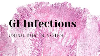 GI Infections Using Kurt’s Notes pathology path gipath pathagonia [upl. by Chavey929]