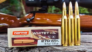 Norma Whitetail 270 Win  100 Yard Group Test [upl. by Bartle]